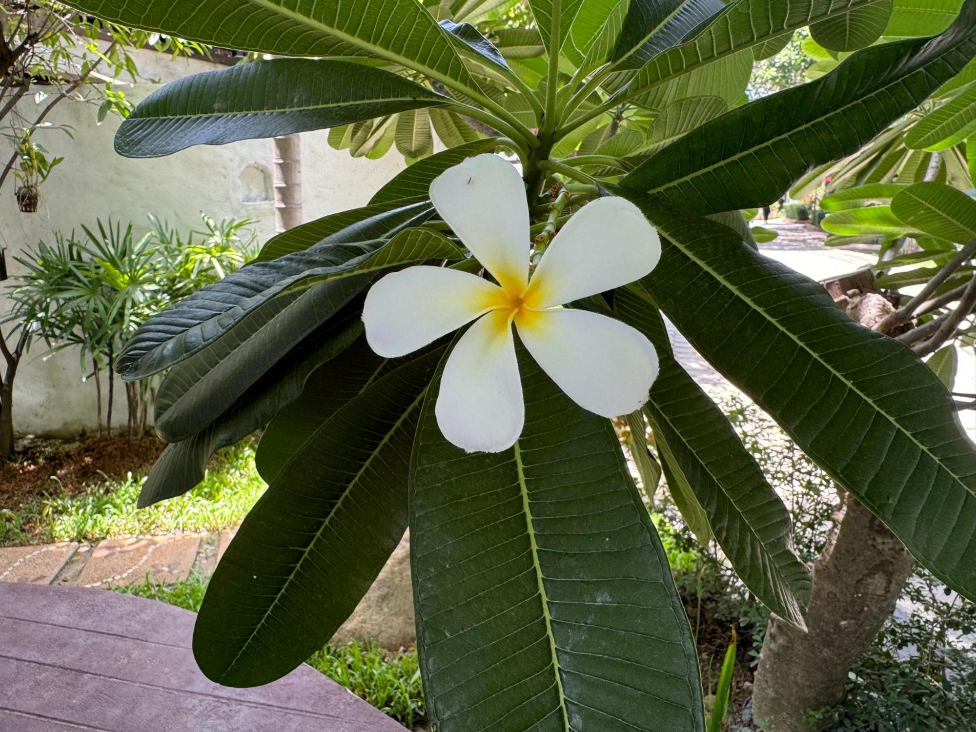 Teewana Resort Chiang Mai Zewnętrze zdjęcie