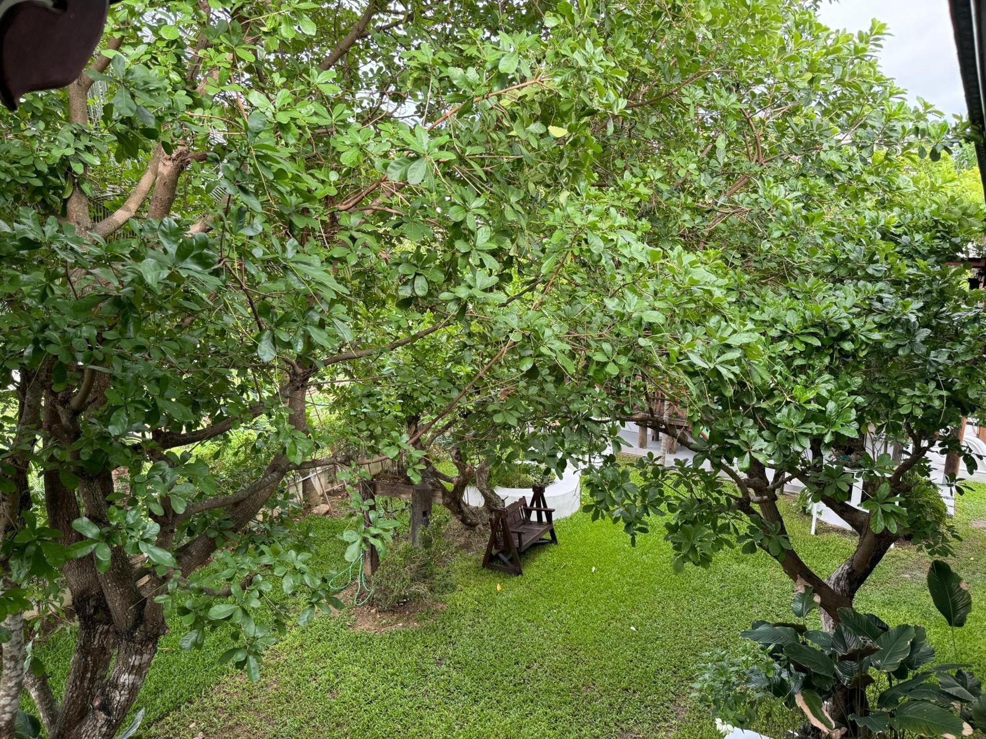 Teewana Resort Chiang Mai Zewnętrze zdjęcie