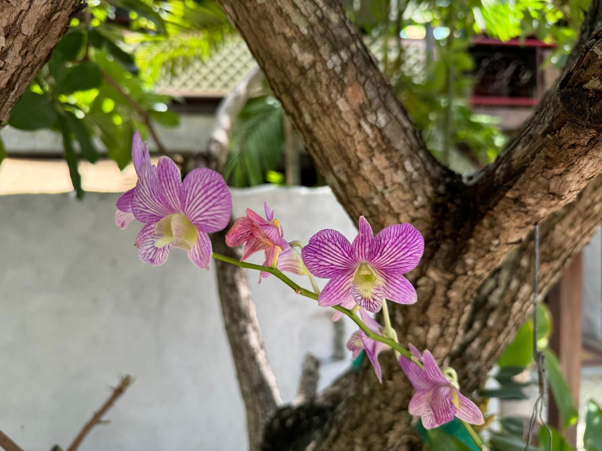 Teewana Resort Chiang Mai Zewnętrze zdjęcie