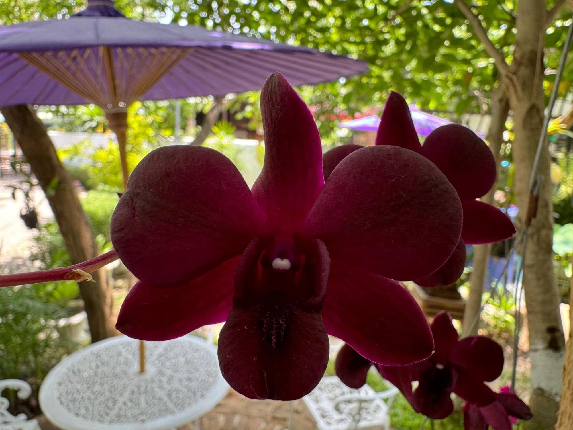 Teewana Resort Chiang Mai Zewnętrze zdjęcie